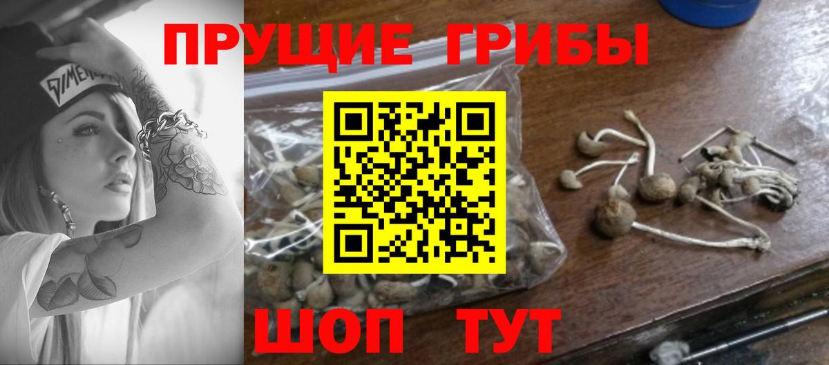 Рузаевка  Псилоцибиновые грибы ЛСД  Псилоцибиновые грибы ЛСД  Вход с VPN 